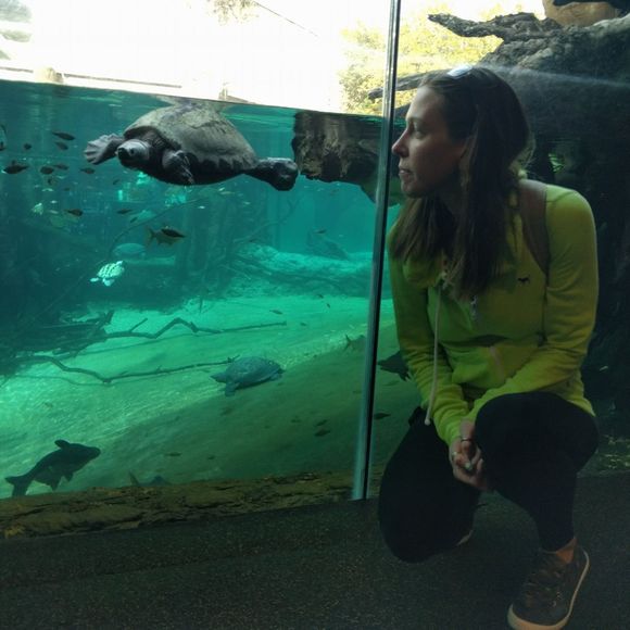 Meet your Posher, Katharine - Picture 1 of 1